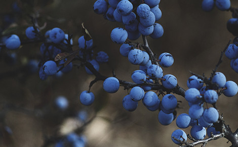 single-blog-img