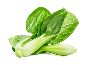 Green Cabbage