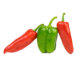 Capsicum